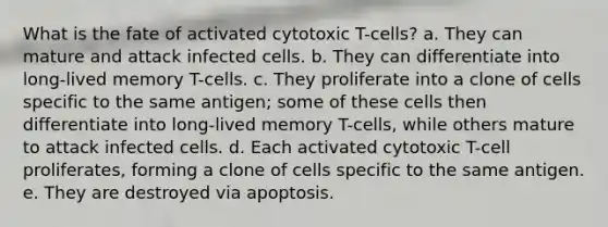 What is the fate of activated cytotoxic T-cells? a. They can mature and attack infected cells. b. They can differentiate into long-lived memory T-cells. c. They proliferate into a clone of cells specific to the same antigen; some of these cells then differentiate into long-lived memory T-cells, while others mature to attack infected cells. d. Each activated cytotoxic T-cell proliferates, forming a clone of cells specific to the same antigen. e. They are destroyed via apoptosis.