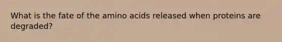 What is the fate of the amino acids released when proteins are degraded?