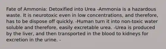 Fate of Ammonia: Detoxified into Urea -Ammonia is a hazardous waste. It is neurotoxic even in low concentrations, and therefore, has to be dispose off quickly. -Human turn it into non-toxic water soluble and therefore, easily excretable urea. -Urea is produced by the liver, and then transported in the blood to kidneys for excretion in the urine. -