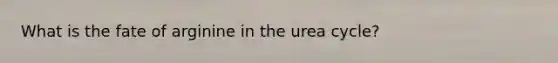 What is the fate of arginine in the urea cycle?