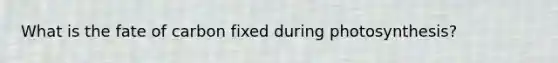 What is the fate of carbon fixed during photosynthesis?