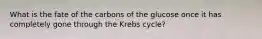 What is the fate of the carbons of the glucose once it has completely gone through the Krebs cycle?