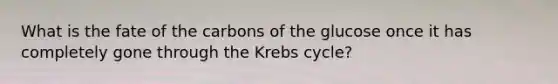 What is the fate of the carbons of the glucose once it has completely gone through the Krebs cycle?