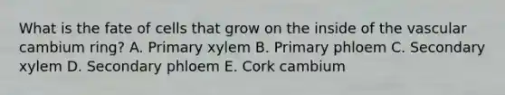 What is the fate of cells that grow on the inside of the vascular cambium ring? A. Primary xylem B. Primary phloem C. Secondary xylem D. Secondary phloem E. Cork cambium