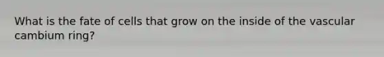 What is the fate of cells that grow on the inside of the vascular cambium ring?