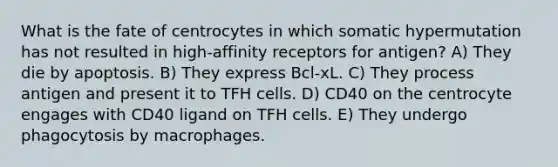 What is the fate of centrocytes in which somatic hypermutation has not resulted in high-affinity receptors for antigen? A) They die by apoptosis. B) They express Bcl-xL. C) They process antigen and present it to TFH cells. D) CD40 on the centrocyte engages with CD40 ligand on TFH cells. E) They undergo phagocytosis by macrophages.