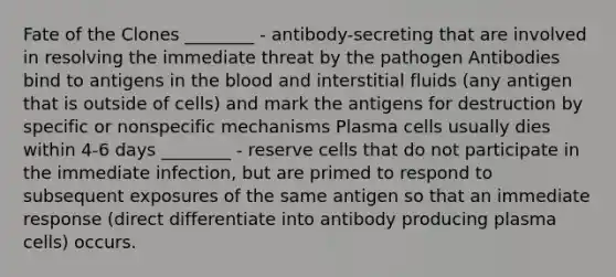 Fate of the Clones ________ - antibody-secreting that are involved in resolving the immediate threat by the pathogen Antibodies bind to antigens in the blood and interstitial fluids (any antigen that is outside of cells) and mark the antigens for destruction by specific or nonspecific mechanisms Plasma cells usually dies within 4-6 days ________ - reserve cells that do not participate in the immediate infection, but are primed to respond to subsequent exposures of the same antigen so that an immediate response (direct differentiate into antibody producing plasma cells) occurs.