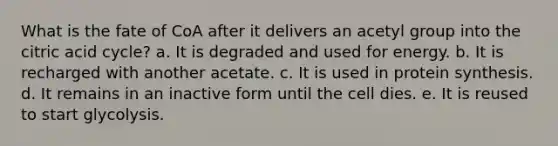 What is the fate of CoA after it delivers an acetyl group into the citric acid cycle?​ a. ​It is degraded and used for energy. b. ​It is recharged with another acetate. c. ​It is used in <a href='https://www.questionai.com/knowledge/kVyphSdCnD-protein-synthesis' class='anchor-knowledge'>protein synthesis</a>. d. ​It remains in an inactive form until the cell dies. e. ​It is reused to start glycolysis.