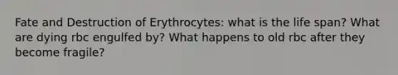 Fate and Destruction of Erythrocytes: what is the life span? What are dying rbc engulfed by? What happens to old rbc after they become fragile?