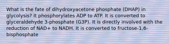 What is the fate of dihydroxyacetone phosphate (DHAP) in glycolysis? It phosphorylates ADP to ATP. It is converted to glyceraldehyde 3-phosphate (G3P). It is directly involved with the reduction of NAD+ to NADH. It is converted to fructose-1,6-bisphosphate