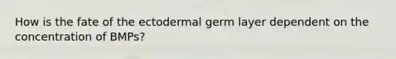 How is the fate of the ectodermal germ layer dependent on the concentration of BMPs?