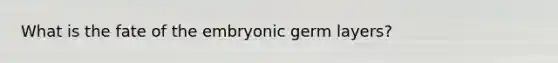 What is the fate of the embryonic germ layers?