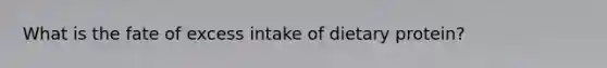 What is the fate of excess intake of dietary protein?