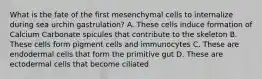 What is the fate of the first mesenchymal cells to internalize during sea urchin gastrulation? A. These cells induce formation of Calcium Carbonate spicules that contribute to the skeleton B. These cells form pigment cells and immunocytes C. These are endodermal cells that form the primitive gut D. These are ectodermal cells that become ciliated