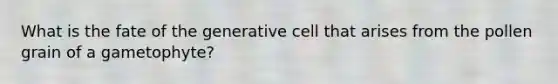 What is the fate of the generative cell that arises from the pollen grain of a gametophyte?