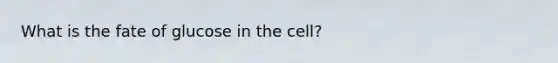 What is the fate of glucose in the cell?