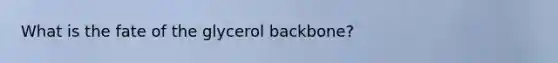 What is the fate of the glycerol backbone?