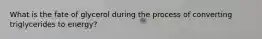 What is the fate of glycerol during the process of converting triglycerides to energy?