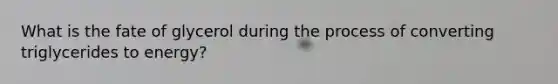 What is the fate of glycerol during the process of converting triglycerides to energy?