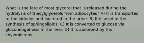 What is the fate of most glycerol that is released during the hydrolysis of triacylglycerols from adipocytes? A) It is transported to the kidneys and excreted in the urine. B) It is used in the synthesis of sphingolipids. C) It is converted to glucose via gluconeogenesis in the liver. D) It is absorbed by the chylomicrons.