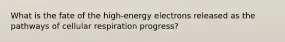 What is the fate of the high-energy electrons released as the pathways of cellular respiration progress?