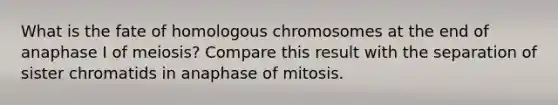 What is the fate of homologous chromosomes at the end of anaphase I of meiosis? Compare this result with the separation of sister chromatids in anaphase of mitosis.