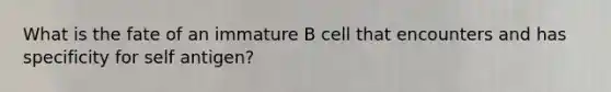 What is the fate of an immature B cell that encounters and has specificity for self antigen?