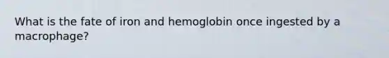 What is the fate of iron and hemoglobin once ingested by a macrophage?