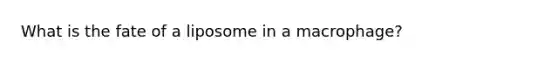 What is the fate of a liposome in a macrophage?