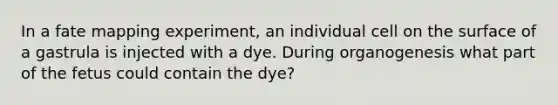 In a fate mapping experiment, an individual cell on the surface of a gastrula is injected with a dye. During organogenesis what part of the fetus could contain the dye?