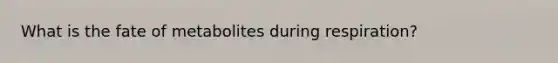 What is the fate of metabolites during respiration?