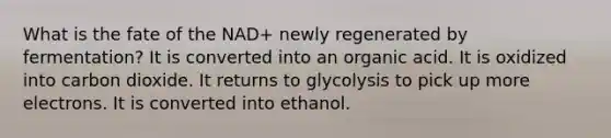 What is the fate of the NAD+ newly regenerated by fermentation? It is converted into an organic acid. It is oxidized into carbon dioxide. It returns to glycolysis to pick up more electrons. It is converted into ethanol.