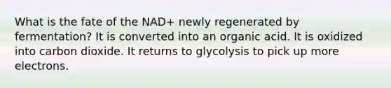 What is the fate of the NAD+ newly regenerated by fermentation? It is converted into an organic acid. It is oxidized into carbon dioxide. It returns to glycolysis to pick up more electrons.