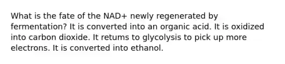 What is the fate of the NAD+ newly regenerated by fermentation? It is converted into an organic acid. It is oxidized into carbon dioxide. It retums to glycolysis to pick up more electrons. It is converted into ethanol.