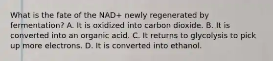 What is the fate of the NAD+ newly regenerated by fermentation? A. It is oxidized into carbon dioxide. B. It is converted into an organic acid. C. It returns to glycolysis to pick up more electrons. D. It is converted into ethanol.