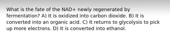 What is the fate of the NAD+ newly regenerated by fermentation? A) It is oxidized into carbon dioxide. B) It is converted into an organic acid. C) It returns to glycolysis to pick up more electrons. D) It is converted into ethanol.