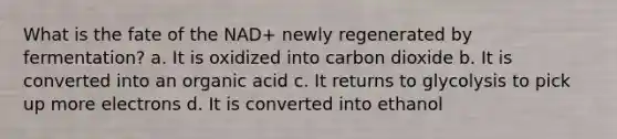 What is the fate of the NAD+ newly regenerated by fermentation? a. It is oxidized into carbon dioxide b. It is converted into an organic acid c. It returns to glycolysis to pick up more electrons d. It is converted into ethanol