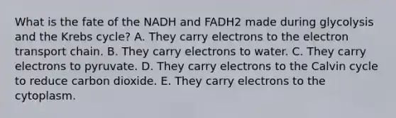 What is the fate of the NADH and FADH2 made during glycolysis and the <a href='https://www.questionai.com/knowledge/kqfW58SNl2-krebs-cycle' class='anchor-knowledge'>krebs cycle</a>? A. They carry electrons to <a href='https://www.questionai.com/knowledge/k57oGBr0HP-the-electron-transport-chain' class='anchor-knowledge'>the electron transport chain</a>. B. They carry electrons to water. C. They carry electrons to pyruvate. D. They carry electrons to the Calvin cycle to reduce carbon dioxide. E. They carry electrons to the cytoplasm.