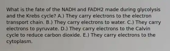 What is the fate of the NADH and FADH2 made during glycolysis and the Krebs cycle? A.) They carry electrons to the electron transport chain. B.) They carry electrons to water. C.) They carry electrons to pyruvate. D.) They carry electrons to the Calvin cycle to reduce carbon dioxide. E.) They carry electrons to the cytoplasm.