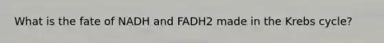 What is the fate of NADH and FADH2 made in the Krebs cycle?