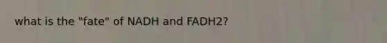 what is the "fate" of NADH and FADH2?