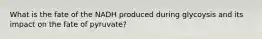 What is the fate of the NADH produced during glycoysis and its impact on the fate of pyruvate?