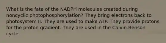 What is the fate of the NADPH molecules created during noncyclic photophosphorylation? They bring electrons back to photosystem II. They are used to make ATP. They provide protons for the proton gradient. They are used in the Calvin-Benson cycle.