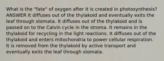 What is the "fate" of oxygen after it is created in photosynthesis? ANSWER It diffuses out of the thylakoid and eventually exits the leaf through stomata. It diffuses out of the thylakoid and is passed on to the Calvin cycle in the stroma. It remains in the thylakoid for recycling in the light reactions. It diffuses out of the thylakoid and enters mitochondria to power cellular respiration. It is removed from the thylakoid by active transport and eventually exits the leaf through stomata.