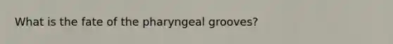 What is the fate of the pharyngeal grooves?