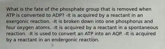 What is the fate of the phosphate group that is removed when ATP is converted to ADP? -It is acquired by a reactant in an exergonic reaction. -It is broken down into one phosphorus and four oxygen atoms. -It is acquired by a reactant in a spontaneous reaction. -It is used to convert an ATP into an AQP. -It is acquired by a reactant in an endergonic reaction.