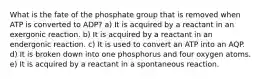 What is the fate of the phosphate group that is removed when ATP is converted to ADP? a) It is acquired by a reactant in an exergonic reaction. b) It is acquired by a reactant in an endergonic reaction. c) It is used to convert an ATP into an AQP. d) It is broken down into one phosphorus and four oxygen atoms. e) It is acquired by a reactant in a spontaneous reaction.