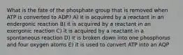 What is the fate of the phosphate group that is removed when ATP is converted to ADP? A) it is acquired by a reactant in an endergonic reaction B) it is acquired by a reactant in an exergonic reaction C) it is acquired by a reactant in a spontaneous reaction D) it is broken down into one phosphorus and four oxygen atoms E) it is used to convert ATP into an AQP