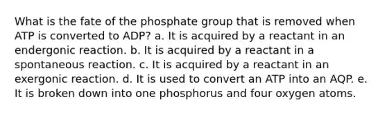 What is the fate of the phosphate group that is removed when ATP is converted to ADP? a. It is acquired by a reactant in an endergonic reaction. b. It is acquired by a reactant in a spontaneous reaction. c. It is acquired by a reactant in an exergonic reaction. d. It is used to convert an ATP into an AQP. e. It is broken down into one phosphorus and four oxygen atoms.