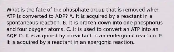 What is the fate of the phosphate group that is removed when ATP is converted to ADP? A. It is acquired by a reactant in a spontaneous reaction. B. It is broken down into one phosphorus and four oxygen atoms. C. It is used to convert an ATP into an AQP. D. It is acquired by a reactant in an endergonic reaction. E. It is acquired by a reactant in an exergonic reaction.